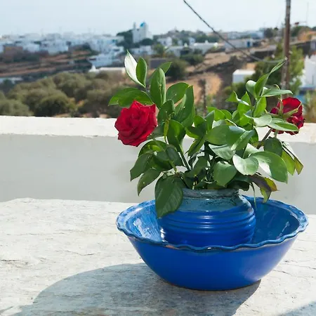 Guest house Letta